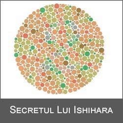 Logo-Secret ishihara